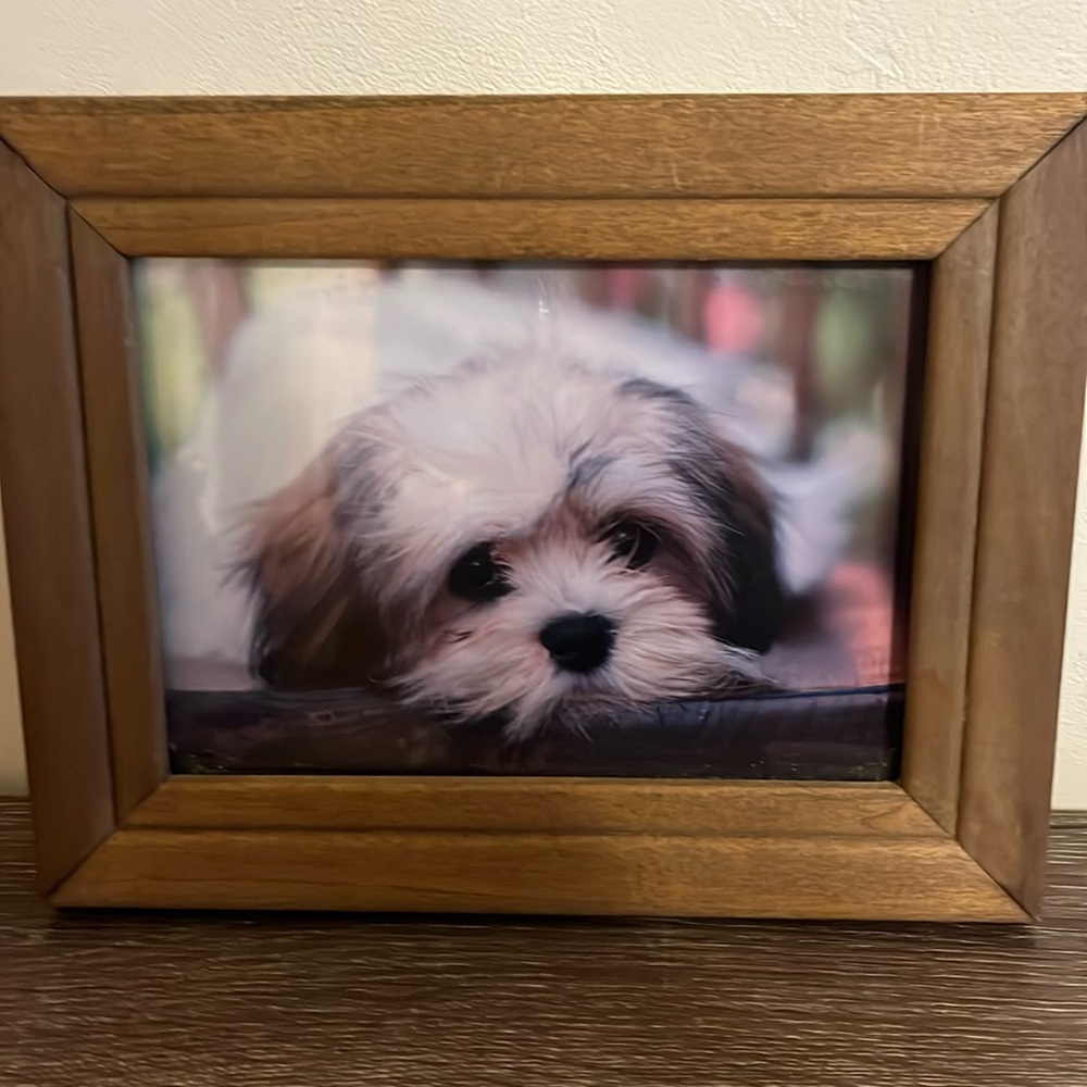 COPY - Framed Puppy Photo